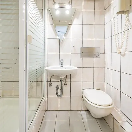 Moselromantik-hotel Zum Loewen ホテル 3*