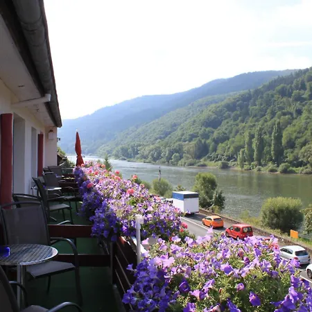 Moselromantik-hotel Zum Loewen 3*