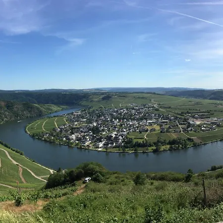 Moselromantik-hotel Zum Loewen 3*