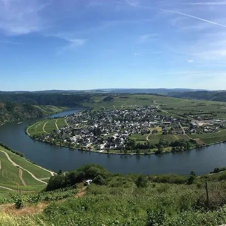 Moselromantik-hotel Zum Loewen Hotell 3*