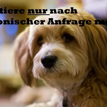 Moselromantik-hotel Zum Loewen 3*