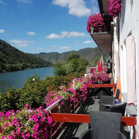Moselromantik-hotel Zum Loewen 3*