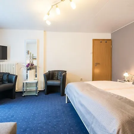 Hotel Moselromantik-hotel Zum Loewen 3*