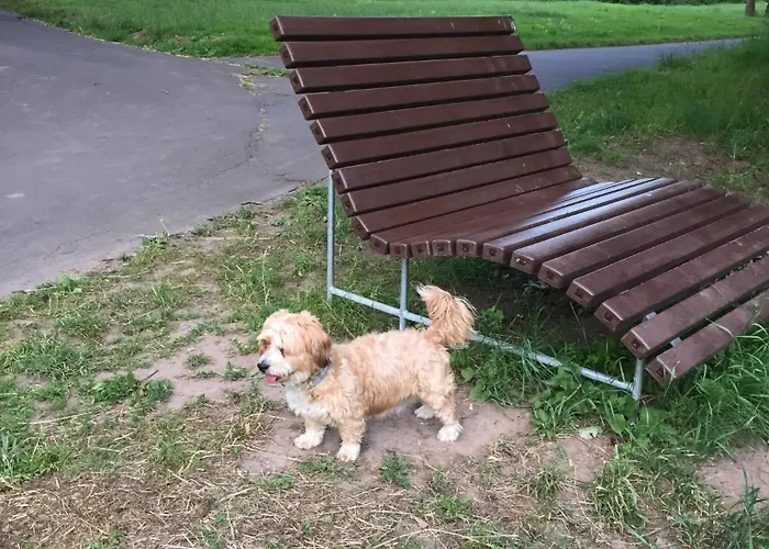 Moselromantik-hotel Zum Loewen