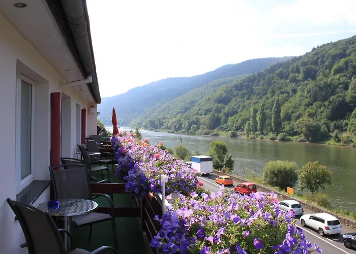 Moselromantik-hotel Zum Loewen 3*