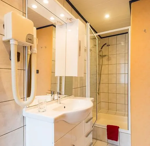 Moselromantik-hotel Zum Loewen Hotel 3*