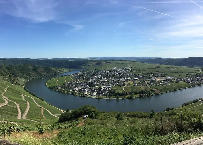 Moselromantik-hotel Zum Loewen Hotel 3*