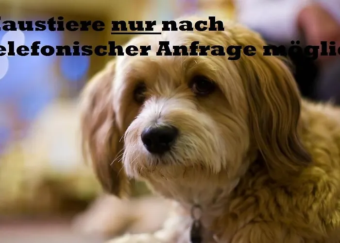 Moselromantik-hotel Zum Loewen 3*