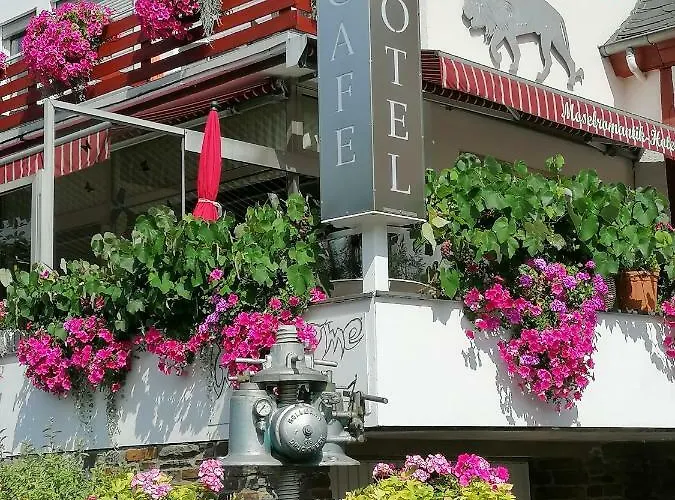 Moselromantik-hotel Zum Loewen Hotel Ediger-Eller